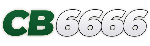 bdcb6666.com Logo